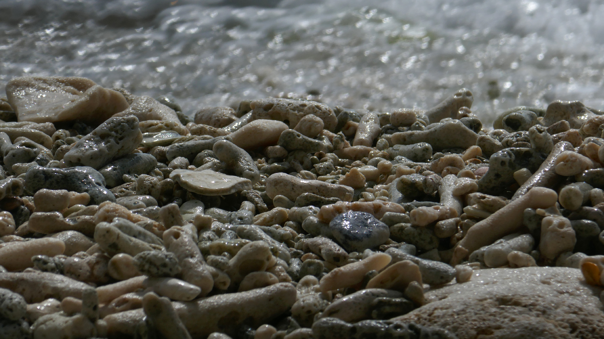 2022-10-29 13 Uhr 27 Playa Kalki (Foto, Video)